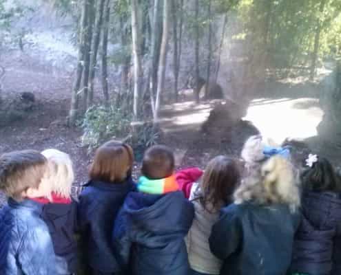 Nuestra primera visita al Zoo : Educación Infantil. 2014-15