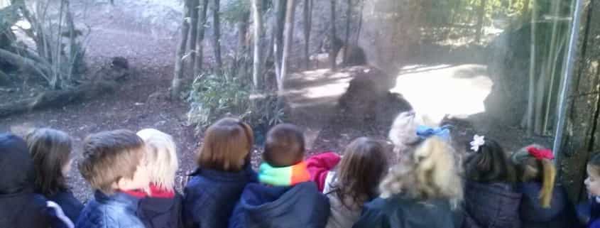 Nuestra primera visita al Zoo : Educación Infantil. 2014-15