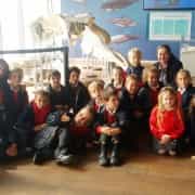 Visita al Museo Alborania de Aula del Mar. 2015-16