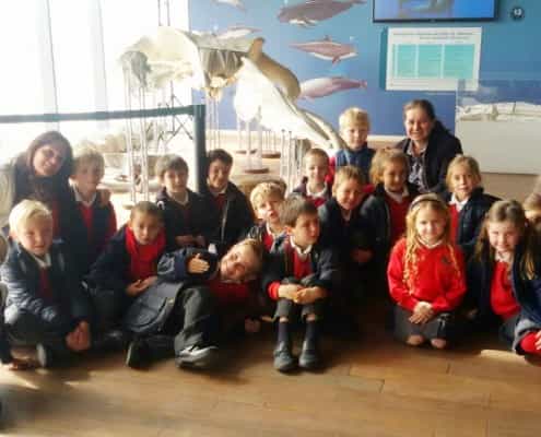 Visita al Museo Alborania de Aula del Mar. 2015-16