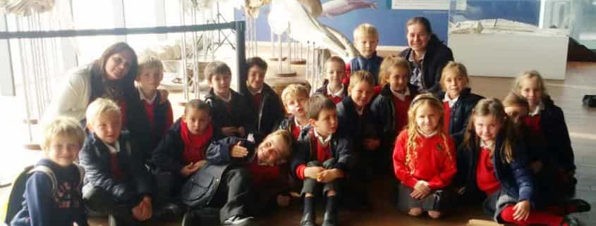 Visita al Museo Alborania de Aula del Mar. 2015-16