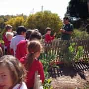 Huerto Ecológico del Colegio Alborán de Marbella