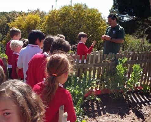 Huerto Ecológico del Colegio Alborán de Marbella