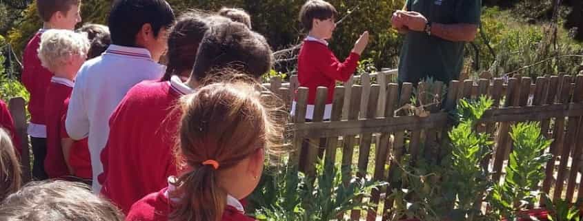 Huerto Ecológico del Colegio Alborán de Marbella