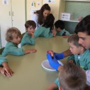 Organ dissection. 2016-17
