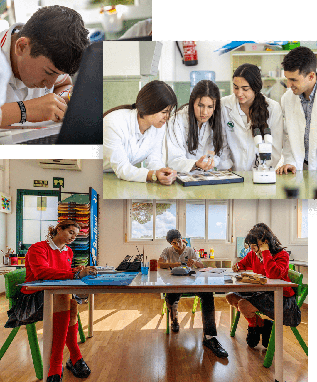 preparacion-para-la-vida-en-colegio-alboran